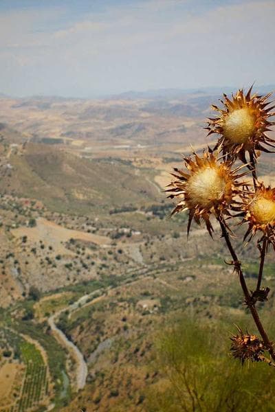 Community creation 0